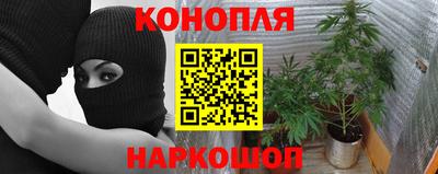 ГАЛЛЮЦИНОГЕННЫЕ ГРИБЫ Лесосибирск