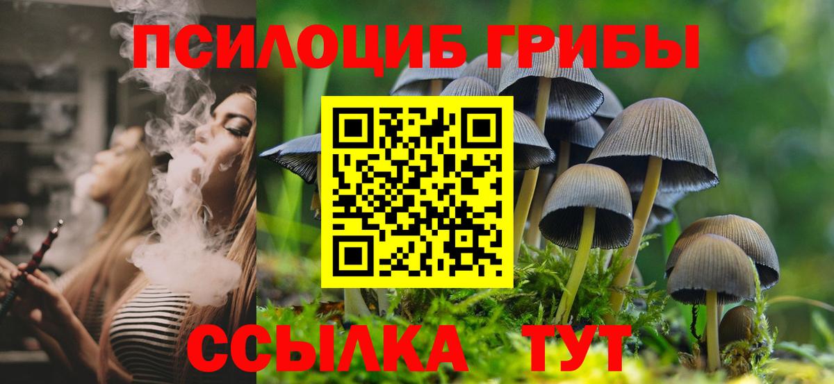 Псилоцибиновые грибы GOLDEN TEACHER  Вход с VPN  как найти   Грязи 