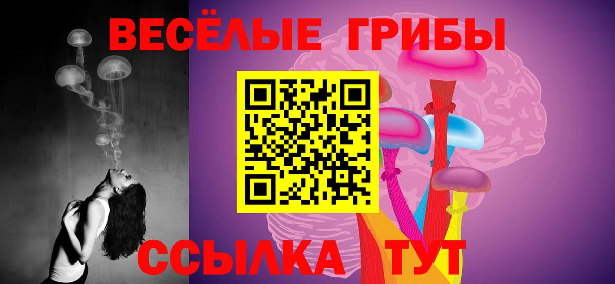 Галлюциногенные грибы Cubensis Грязи